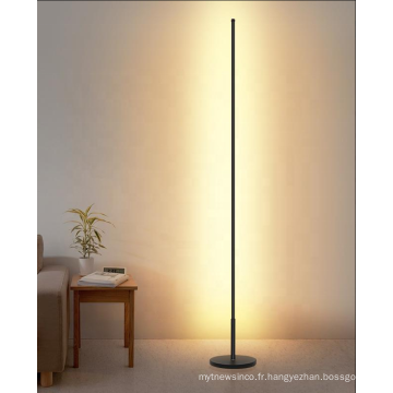 Lampadaire intérieur moderne à base de métal 24W LED pour la décoration de la maison